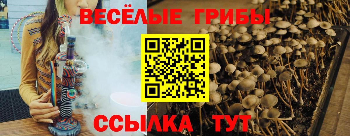 Галлюциногенные грибы Cubensis  Псилоцибиновые грибы Cubensis  Вход с VPN  Кизилюрт 